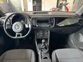 Volkswagen Maggiolino New Beetle 1.6 TDI 105 CV Noir - thumbnail 7