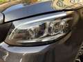 Mercedes-Benz C 220 AMG Line Advance Night C 220 D MHEV Grigio - thumbnail 12