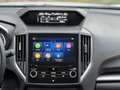 Subaru XV 1.6i Pure 4WD|Plus Eye Sight|Apple CarPlay|Pano|Ca Wit - thumbnail 9