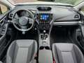 Subaru XV 1.6i Pure 4WD|Plus Eye Sight|Apple CarPlay|Pano|Ca Wit - thumbnail 6