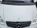 Mercedes-Benz A 160 cdi be Executive Bianco - thumbnail 1