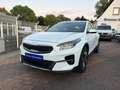 Kia XCeed 1.5 T-GDI DCT Platinum Edition,LED,Navi,Ka Blanc - thumbnail 1