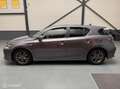 Lexus CT 200h F Sport Line Dealer onderhouden|NL-Auto Gris - thumbnail 18