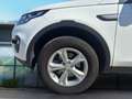 Land Rover Discovery Sport 2.0 TD4 150 CV SE Blanc - thumbnail 21