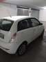Lancia Ypsilon 1.2 8v Argento - thumbnail 4