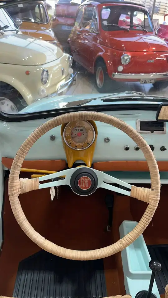 Fiat 500 Jolly 110 F, foto 5