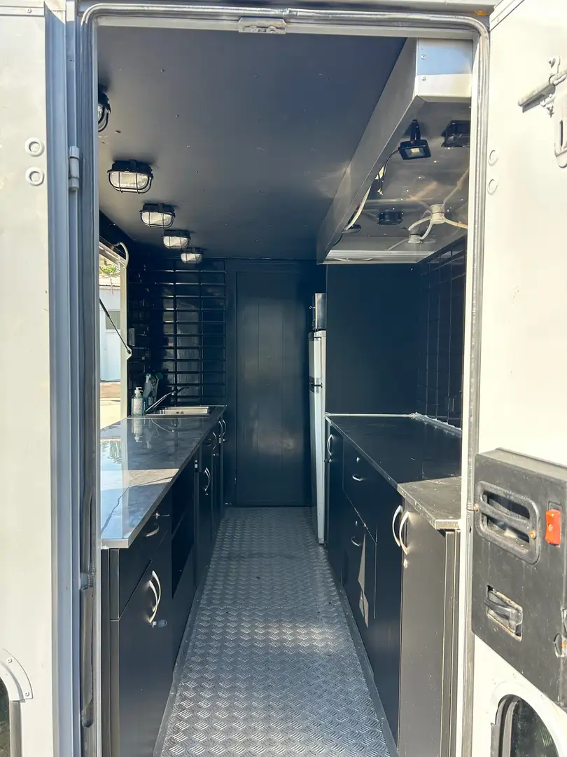 Mercedes-Benz 308 Gris - 1