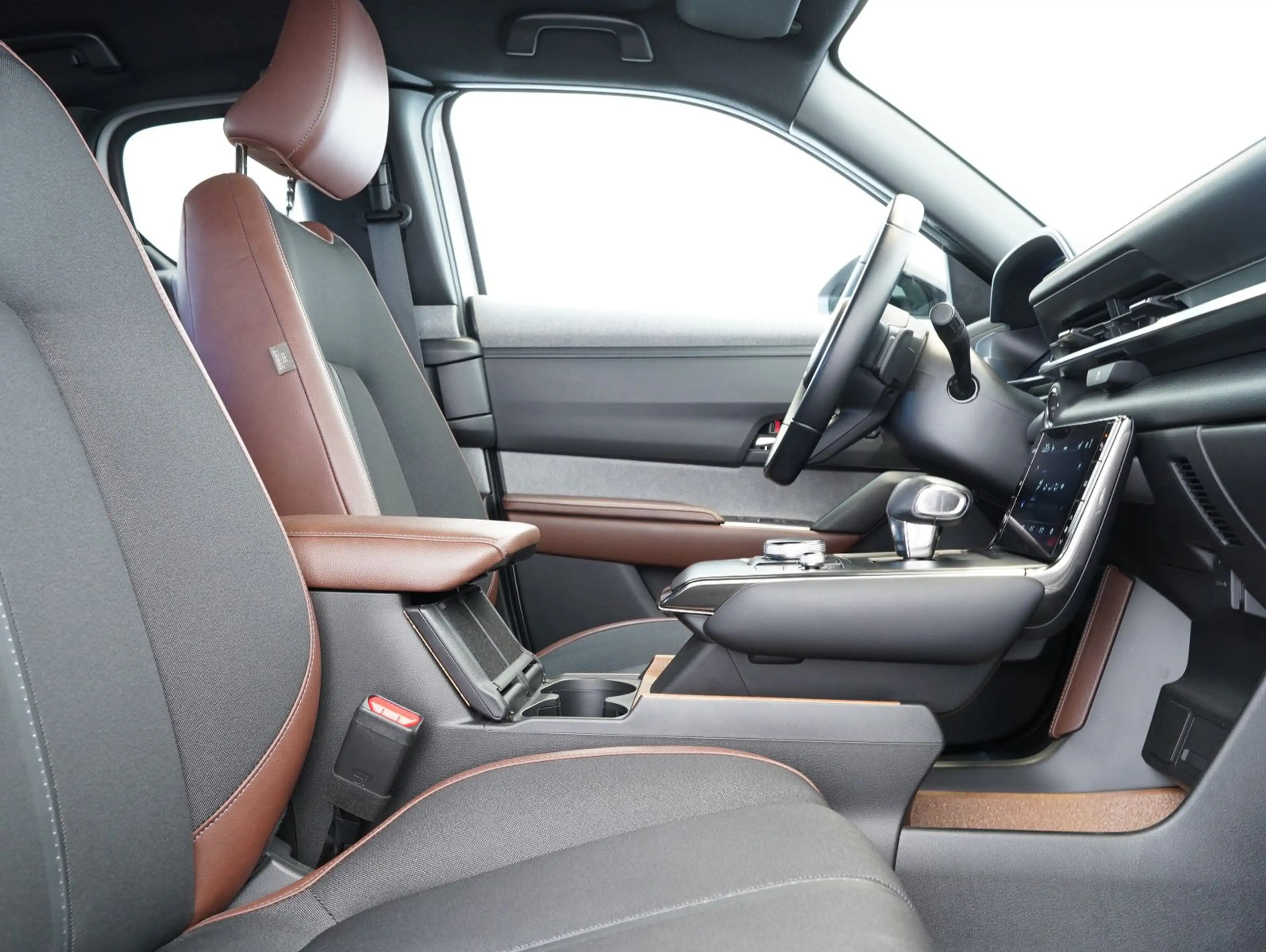 Mazda MX-30 Basis AD'VANTAGE — photo 12