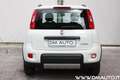Fiat Panda Panda 1.0 firefly hybrid City Life Bianco - thumbnail 6