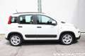 Fiat Panda Panda 1.0 firefly hybrid City Life Bianco - thumbnail 4
