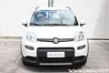 Fiat Panda Panda 1.0 firefly hybrid City Life Bianco - thumbnail 2