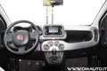 Fiat Panda Panda 1.0 firefly hybrid City Life Bianco - thumbnail 9