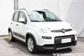 Fiat Panda Panda 1.0 firefly hybrid City Life Bianco - thumbnail 1