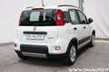 Fiat Panda Panda 1.0 firefly hybrid City Life Bianco - thumbnail 7
