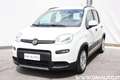 Fiat Panda Panda 1.0 firefly hybrid City Life Bianco - thumbnail 3