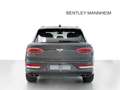 Bentley Bentayga Azure Head Up Display Navi LED Vollleder - thumbnail 5