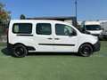 Renault Kangoo Cabine Approfondie 5 places (8.325 HT) 1.5 dCi 90ch Grand Confort Blanc - thumbnail 5