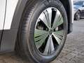 Mercedes-Benz EQB 250 + , PROGRESSIVE KAMERA PANO SPUR STANDH Weiß - thumbnail 13