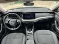 Skoda Octavia 2.0 tdi evo Executive 115cv dsg Blu/Azzurro - thumbnail 15
