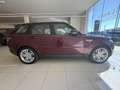 Land Rover Range Rover Sport 3.0SDV6 HSE 306 Aut. Rojo - thumbnail 7