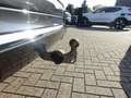 Volvo XC60 B4 AWD Diesel Inscription AHK/STDHZG/KAMERA Grijs - thumbnail 22