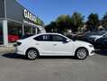 Skoda Octavia 2.0 TDI 116 ch Business Blanc - thumbnail 4