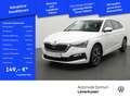 Skoda Scala Drive 125 ACC NAVI KAM LED SHZ KLIMA PD Weiß - thumbnail 1