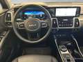 Kia Sorento 1.6 PACE PHEV 4WD Noir - thumbnail 8