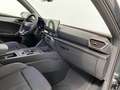 CUPRA Leon Sportstourer 2.0 TDI 150 CV DSG Grigio - thumbnail 4
