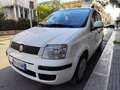 Fiat Panda Panda 1.2 BENZINA 69CV 5 POSTI Blanc - thumbnail 3
