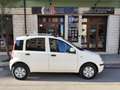 Fiat Panda Panda 1.2 BENZINA 69CV 5 POSTI Blanc - thumbnail 6