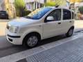 Fiat Panda Panda 1.2 BENZINA 69CV 5 POSTI Blanco - thumbnail 4