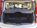 Fiat Panda Panda 1.2 BENZINA 69CV 5 POSTI Blanco - thumbnail 17