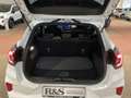 Ford Puma ST-Line+Automatik+Pano+Kamera+Navi+Tempomat Bianco - thumbnail 6