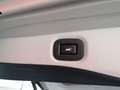 Nissan X-Trail 1.6 dCi 4WD Tekna Alb - thumbnail 7