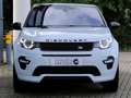 Land Rover Discovery Sport 2.0 Td4 Hse Luxury 7p. Wit - thumbnail 14