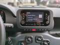 Fiat Panda Hybrid 1.0 GSE Klimaanlage Einparkhile hinten Schwarz - thumbnail 14