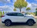 Honda CR-V 2.0 i-MMD Hybrid 4WD Executive Blanc - thumbnail 6