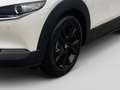 Mazda CX-30 e-Skyactive G140 Homura Weiß - thumbnail 8