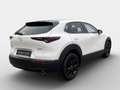 Mazda CX-30 e-Skyactive G140 Homura Weiß - thumbnail 4