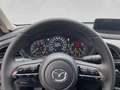Mazda CX-30 e-Skyactive G140 Homura Weiß - thumbnail 15