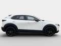 Mazda CX-30 e-Skyactive G140 Homura Weiß - thumbnail 3