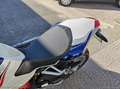 MV Agusta Brutale 1090 Brutale 1090 RR ABS PROMO WEB Bleu - thumbnail 20