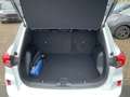 Ford Kuga ST-Line FHEV+Matrix LED+Head-UP+Kamera+Navi Weiß - thumbnail 6