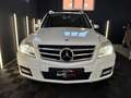 Mercedes-Benz GLK 220 GLK 220 CDI 4Matic Erstbesitz/Bi-Xenon/Sport-Paket Weiß - thumbnail 3