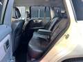 Mercedes-Benz GLK 220 GLK 220 CDI 4Matic Erstbesitz/Bi-Xenon/Sport-Paket Weiß - thumbnail 22
