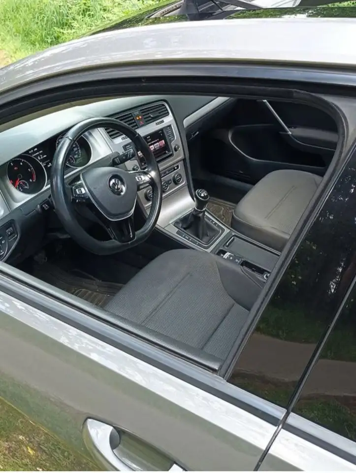 Volkswagen Golf golf  1.6