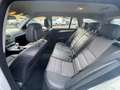 Mercedes-Benz C 200 T CDI  BlueEfficiency Motorschaden Export Gris - thumbnail 15