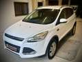 Ford Kuga Trend Weiß - thumbnail 5