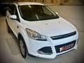 Ford Kuga Trend Weiß - thumbnail 2